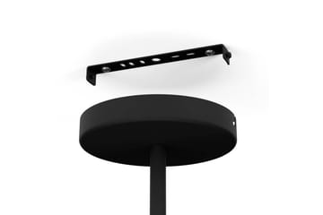 Takpendel Eglo Champerico Svart - Products - Belysning - Lampor & belysning inomhus - Taklampa & takbelysning - Pendellampa & hänglampa