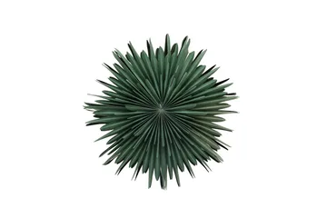 Sälen Adventsstjärna / Jullampa 60 cm - Grön - Products - Belysning - Julbelysning - Adventsstjärna