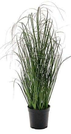 Konstväxt Gräs i Grön Polyeten - 60 cm - Products - Inredning - Dekoration & inredningsdetaljer - Prydnadssaker - Blomsterdekoration