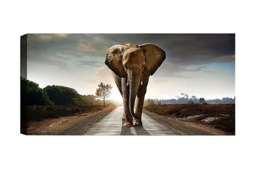 Canvastavla YTY Animals Flerfärgad - 120x50 cm - Products - Inredning - Tavlor & posters - Canvastavla