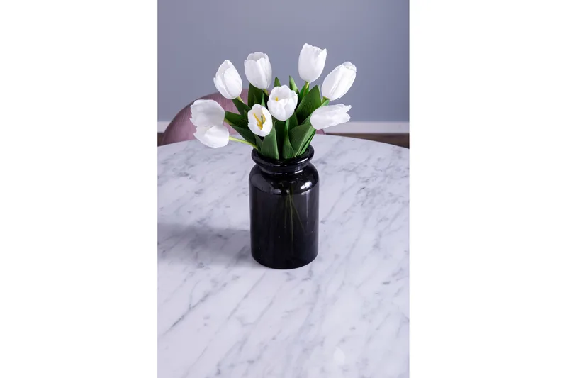 Admira Matgrupp med 4 Valeri Matstolar - Products - Möbler - Bord & matgrupp - Matgrupp