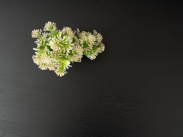 Galen Soffbord 139,5 cm - Products - Möbler - Bord & matgrupp - Soffbord