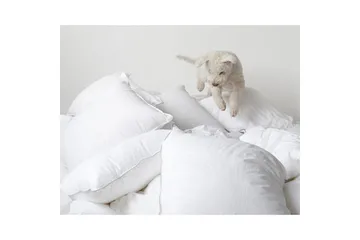 Täcke Hotelltäcke 220 x 210 cm - Franzén - Products - Textil & mattor - Sängkläder - Täcke