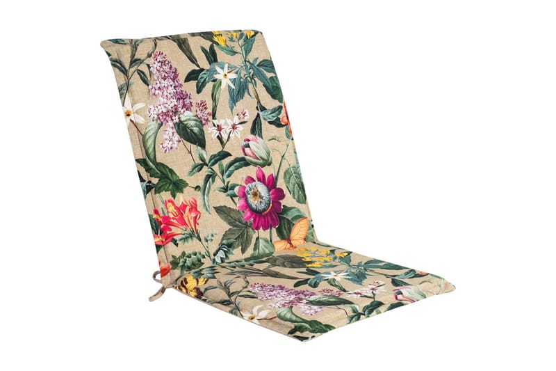 Sitt-/ryggdyna Amazonia, Flerfärgad