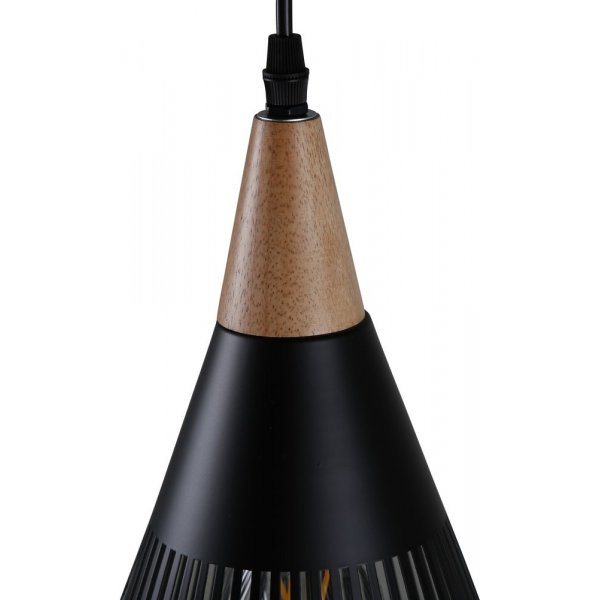 Nittsj kattovalaisin - musta