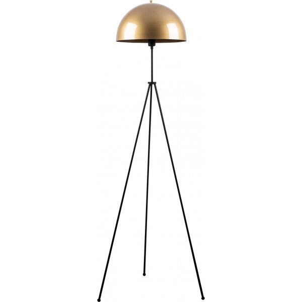 T�lkkilattiavalaisin - kulta/musta