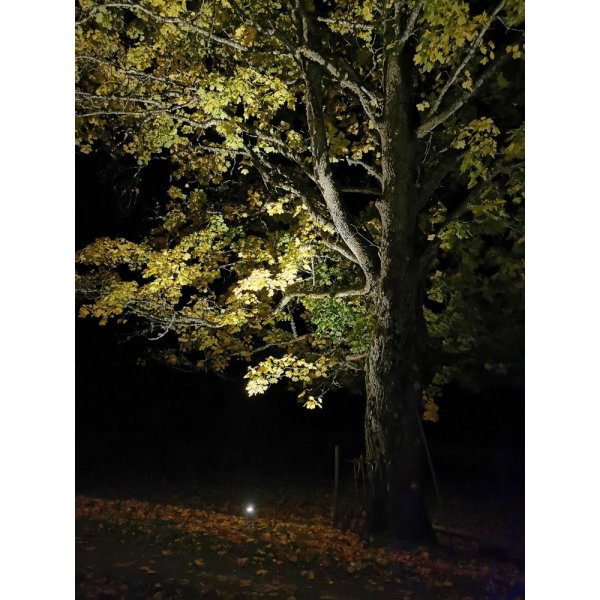 Takavalaisin - musta