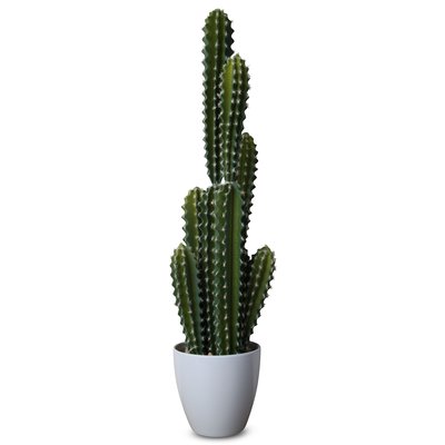 Keinokasvi - Kaktus k. 68 cm