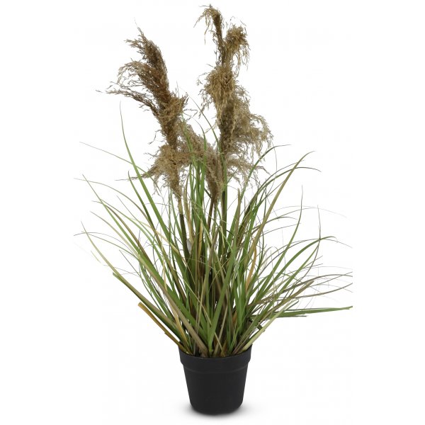 Keinokasvi - Ruoho/Pampas-ruoho k. 94 cm
