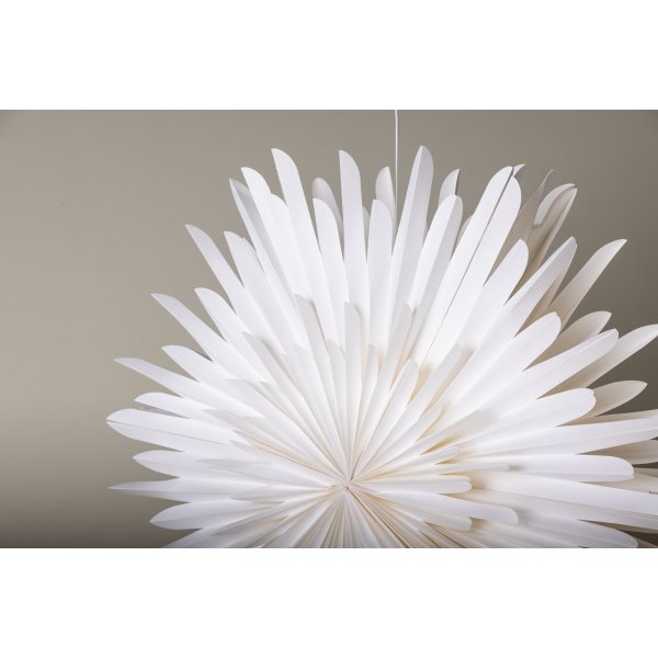 Seal Advent Star 100 cm - Valkoinen