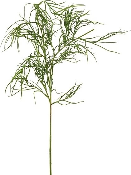 Grevillea keinotekoinen kasvi