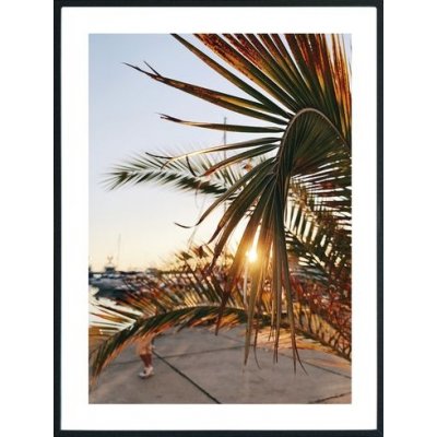 Posterworld - Motif Palm - 70x100 cm