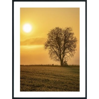 Posterworld - aihe Yksininen puu - 50x70 cm