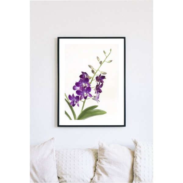 Posterworld - Motif Orchid - 70x100 cm