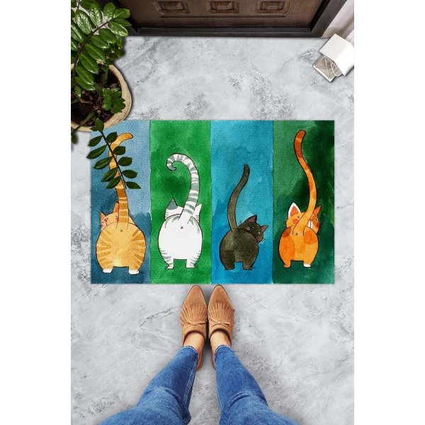 Gatto ovimatto