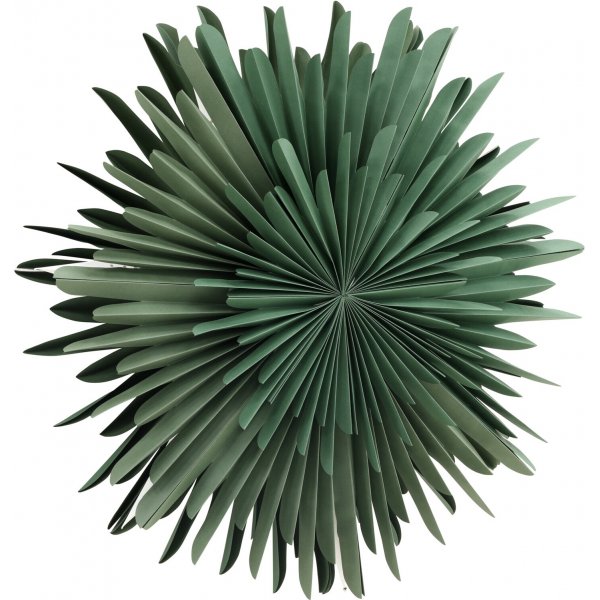 Seal Advent Star 80 cm - Vihre�