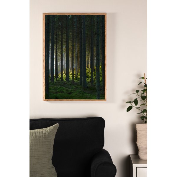 Juliste - Woods Juliste - Woods