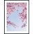 Posterworld - aihe Kukka taivaalla - 70x100 cm