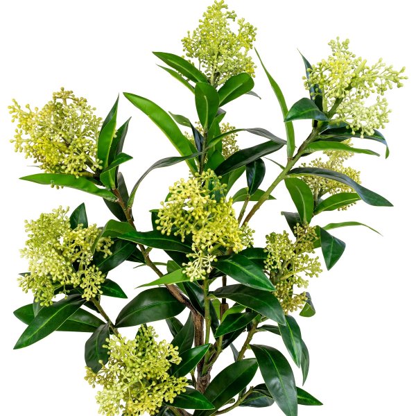 Skimmia-puun tekokasvi - Vihreä Skimmia-puun tekokasvi - Vihreä