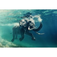 Lasitaulu Elephant - 120x80 cm