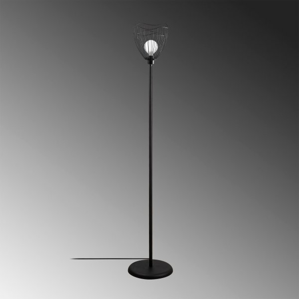 Zeyno lattiavalaisin - musta