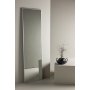 Orlando peili 55 x 195 cm - hopea