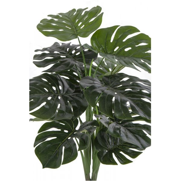Monstera tekokukka - 90 cm