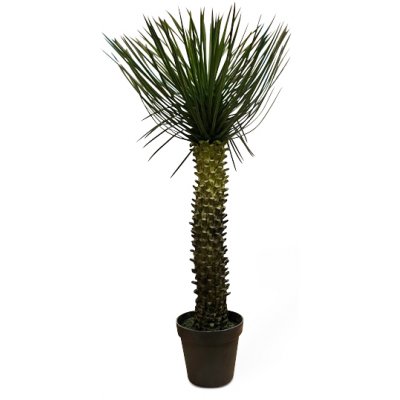Palmu keinokasvin korkeus 112 cm