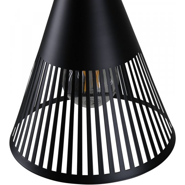 Nittsj kattovalaisin - musta