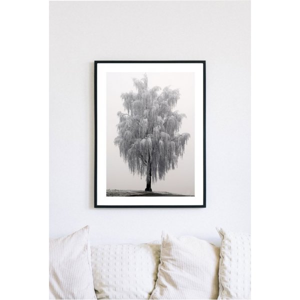 Posterworld - Motif Frosty tree - 50x70 cm Posterworld - Motif Frosty tree - 50x70 cm