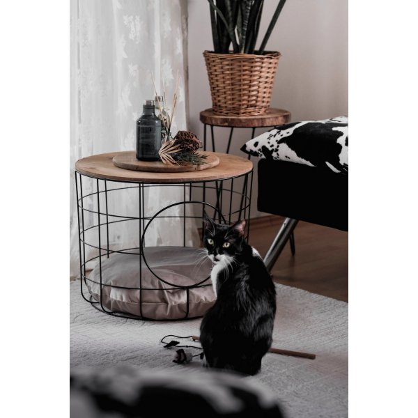 Cat sohvapöytäsetti - mänty/musta Cat sohvapöytäsetti - mänty/musta