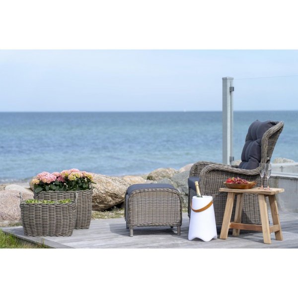 Barcelonan penkki 50 cm - tiikki