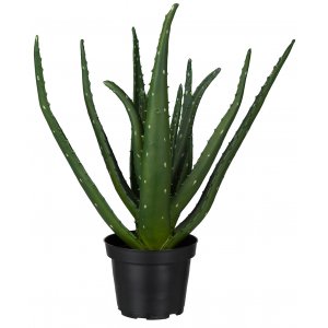 Aloe keinotekoinen kasvi