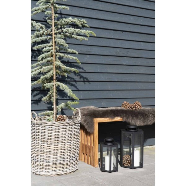 Salt penkki 90 cm - Tiikki